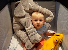 Outfit: Un bebé jugando con Isidoro y Elefante.
